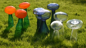 Helen Twigge-Molecey - Fungi (Overview)(Glass)